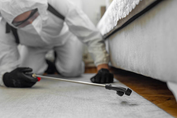 Professional Pest Control technician working in Laughlin AFB, TX