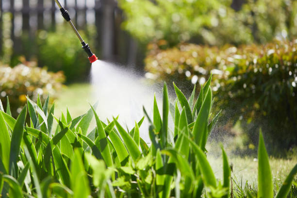 24/7 Emergency Pest Control experts in Laughlin AFB, TX