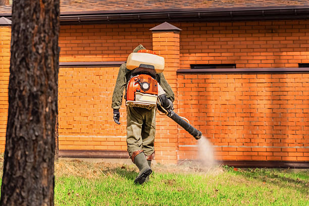 Top rated local Pest Control specialists in Laughlin AFB, TX